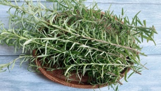 自宅で採れたローズマリー　
